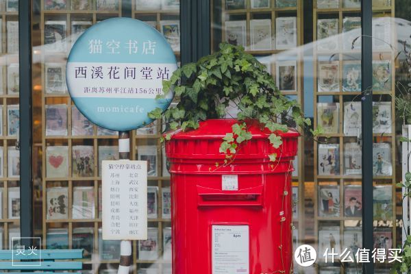 避开人山人海逛景区，来西溪住进花海烂漫里 赏荷花、看龙舟赛