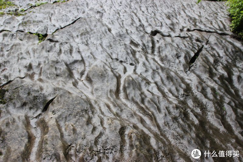 大自然鬼斧神工的重庆天坑地缝略记