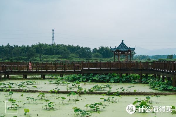 不是乌镇西塘，在江西抚州还藏着爸爸去哪儿住过的古镇