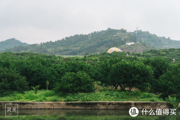 不是乌镇西塘，在江西抚州还藏着爸爸去哪儿住过的古镇