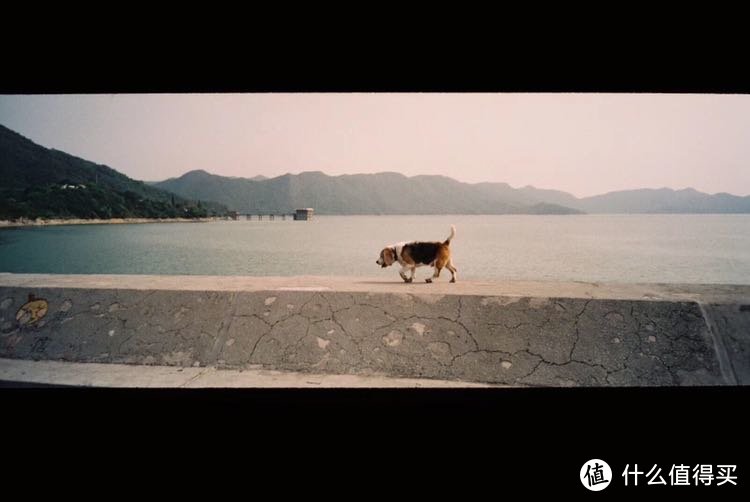 香港大美督青旅对出的浅水湖堤坝