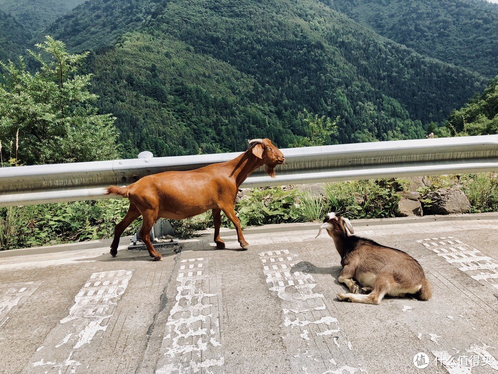 随性的川西小环线，认真的三缸初体验