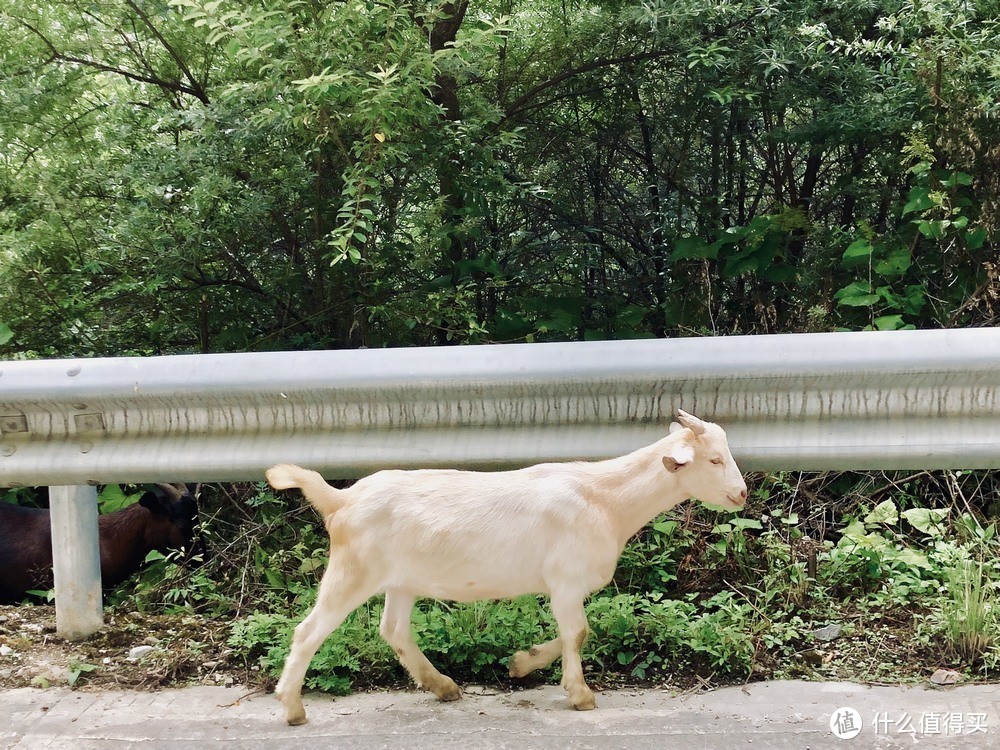 随性的川西小环线，认真的三缸初体验