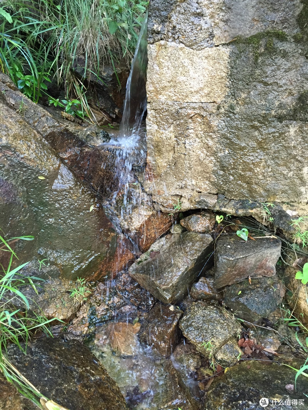 附近会专门来景区打水回去泡茶喝