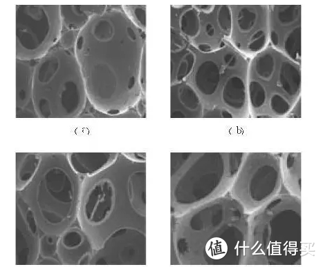 三聚氰胺甲醛泡沫塑料泡孔结构放大100倍的扫描电镜照片