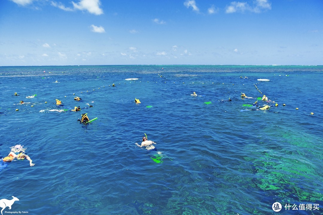 浮潜区域