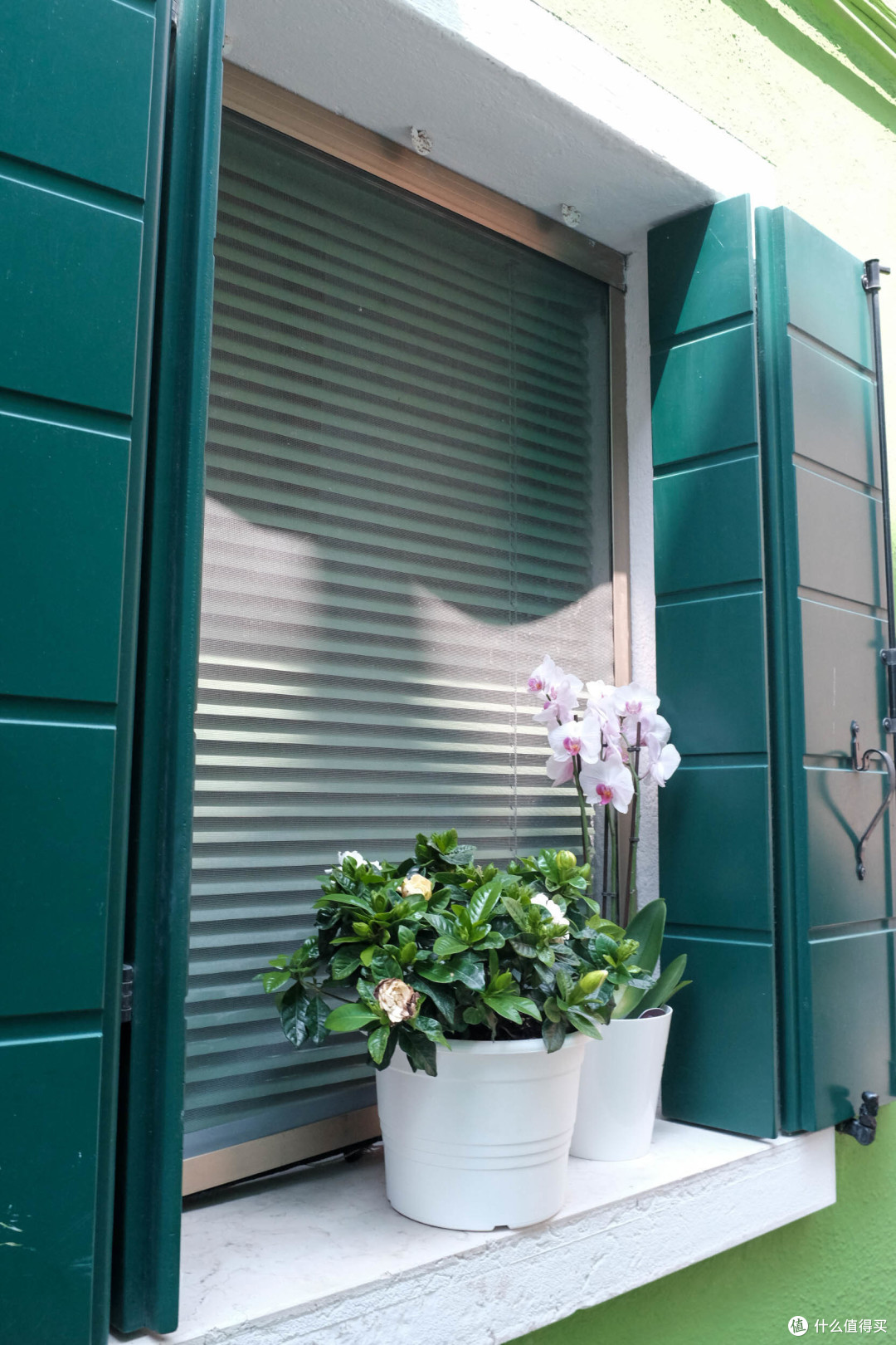 很欣赏他们这种装点自己窗台的闲情逸致.