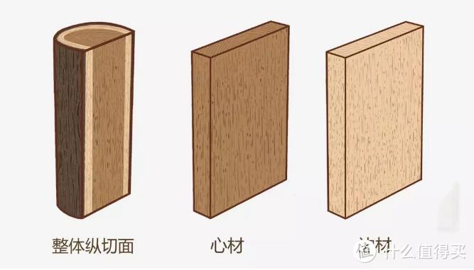▲橡胶木 木材形态特征