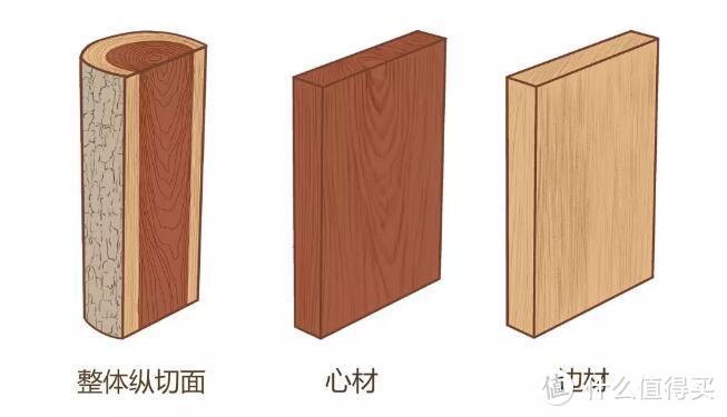 ▲刺猬紫檀 木材形态特征