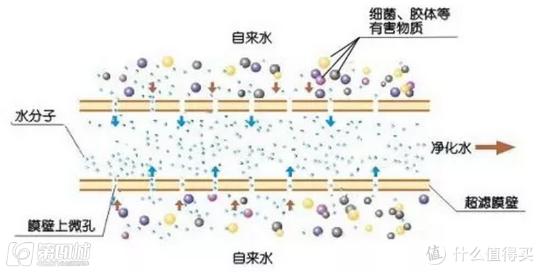 我家全屋净水方案 前置、DIY软化水系统、小米橱下式1A纯水机展示