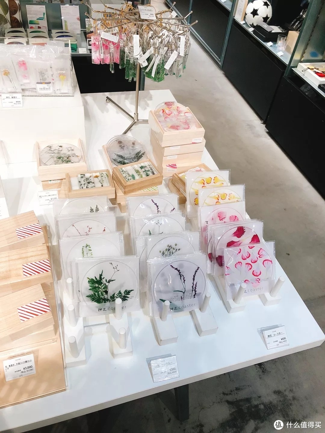 涩谷地图—可以让我待上整整一天的Loft，@cosme store ，迪士尼商店