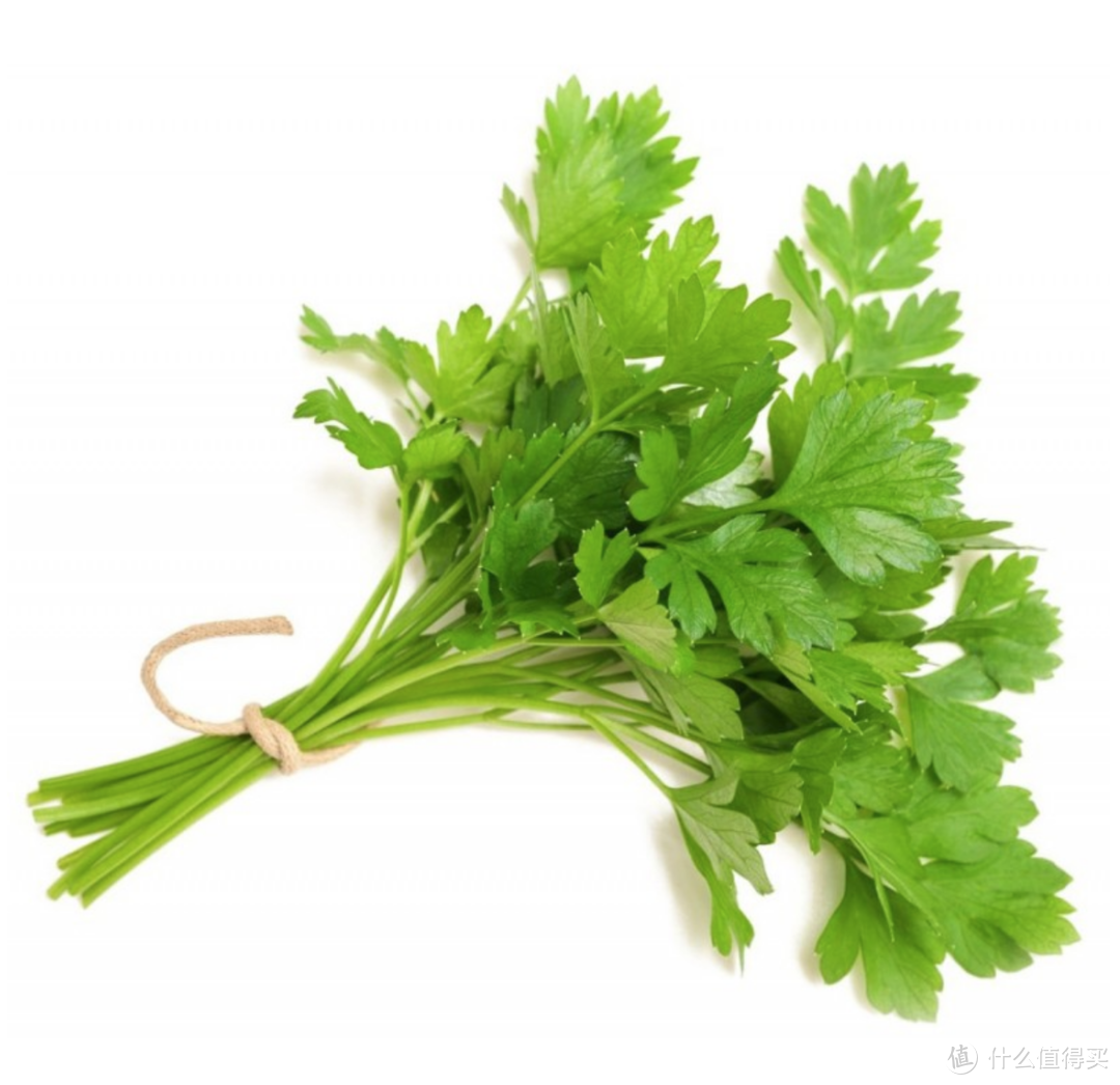 平叶欧芹（flat leaf parsley)