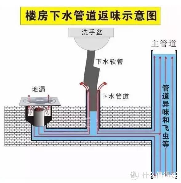 关于地漏，我实测了这四款平价产品