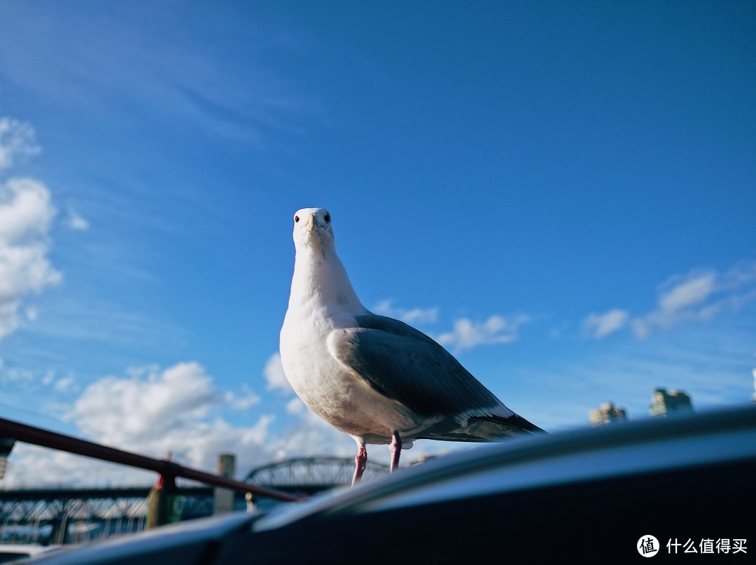 旅行/美食撰稿人的随身利器——FUJIFILM 富士 X-Pro2 无反数码相机