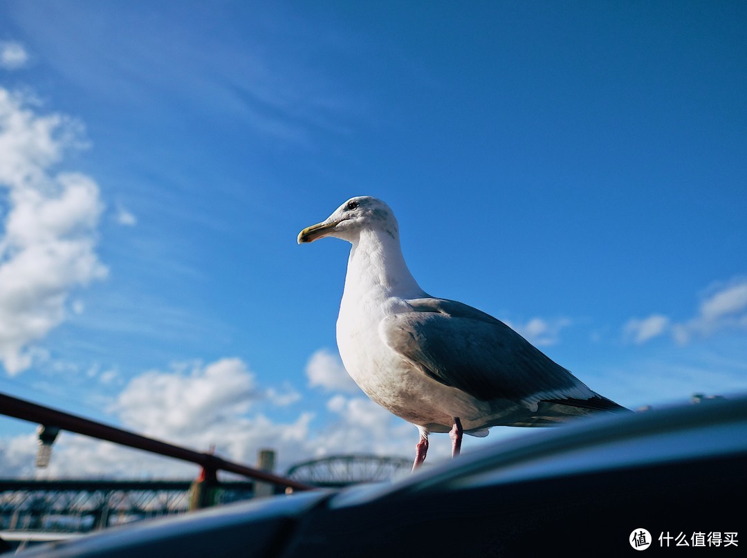 旅行/美食撰稿人的随身利器——FUJIFILM 富士 X-Pro2 无反数码相机