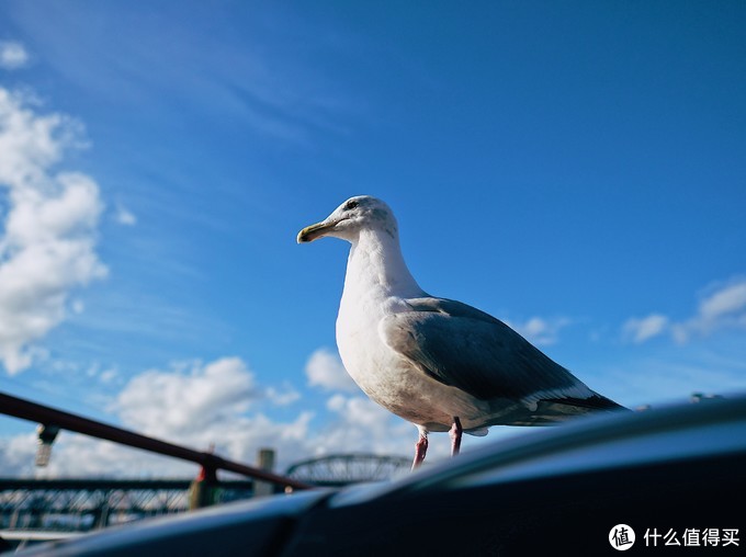 旅行/美食撰稿人的随身利器——FUJIFILM 富士 X-Pro2 无反数码相机