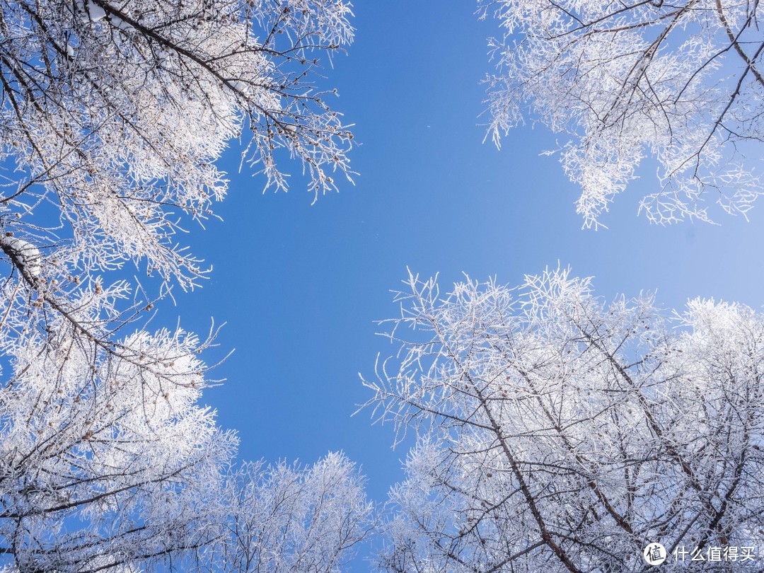 一台没有槽点的相机——理光GR2