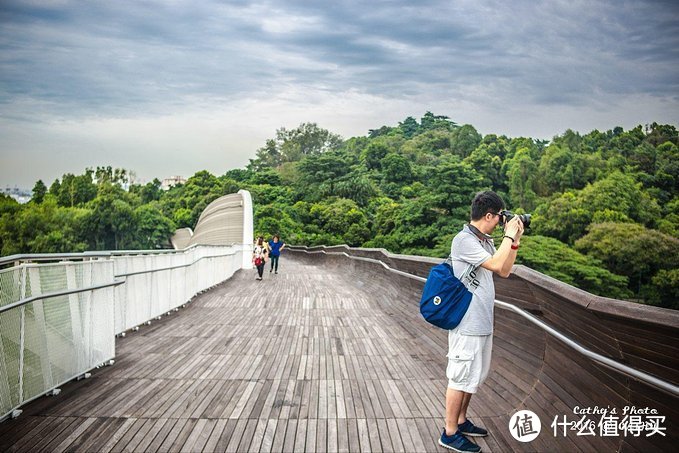 图 | 去哪儿聪明旅行家@Cathy猫児 