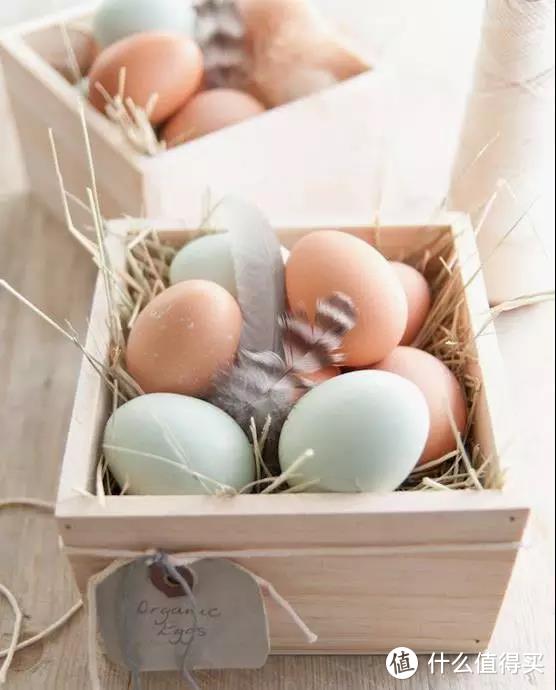鸡蛋、鸭蛋、鹅蛋、鹌鹑蛋…差别这么大，不知道亏大了！