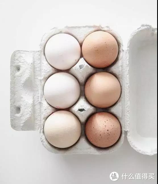鸡蛋、鸭蛋、鹅蛋、鹌鹑蛋…差别这么大，不知道亏大了！