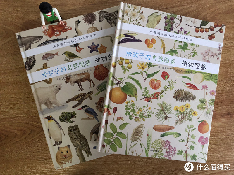 毛爸聊玩具：我错了，Usborne的书也不是都能闭眼入 | 团购纪检委