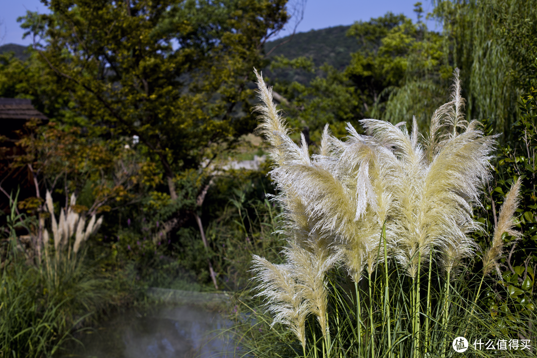 让心灵度个假——禅意拈花湾