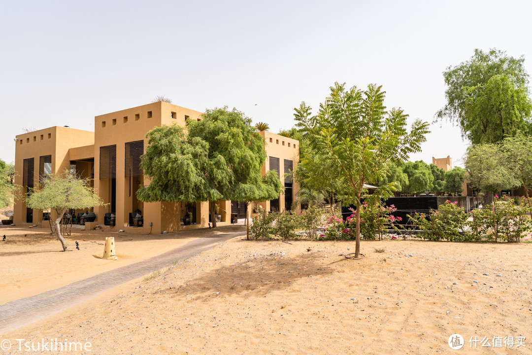 哈伊马角的沙漠绿洲—The Ritz-Carlton Ras Al khaimah, Al Wadi Desert