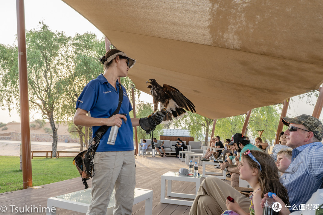 哈伊马角的沙漠绿洲—The Ritz-Carlton Ras Al khaimah, Al Wadi Desert