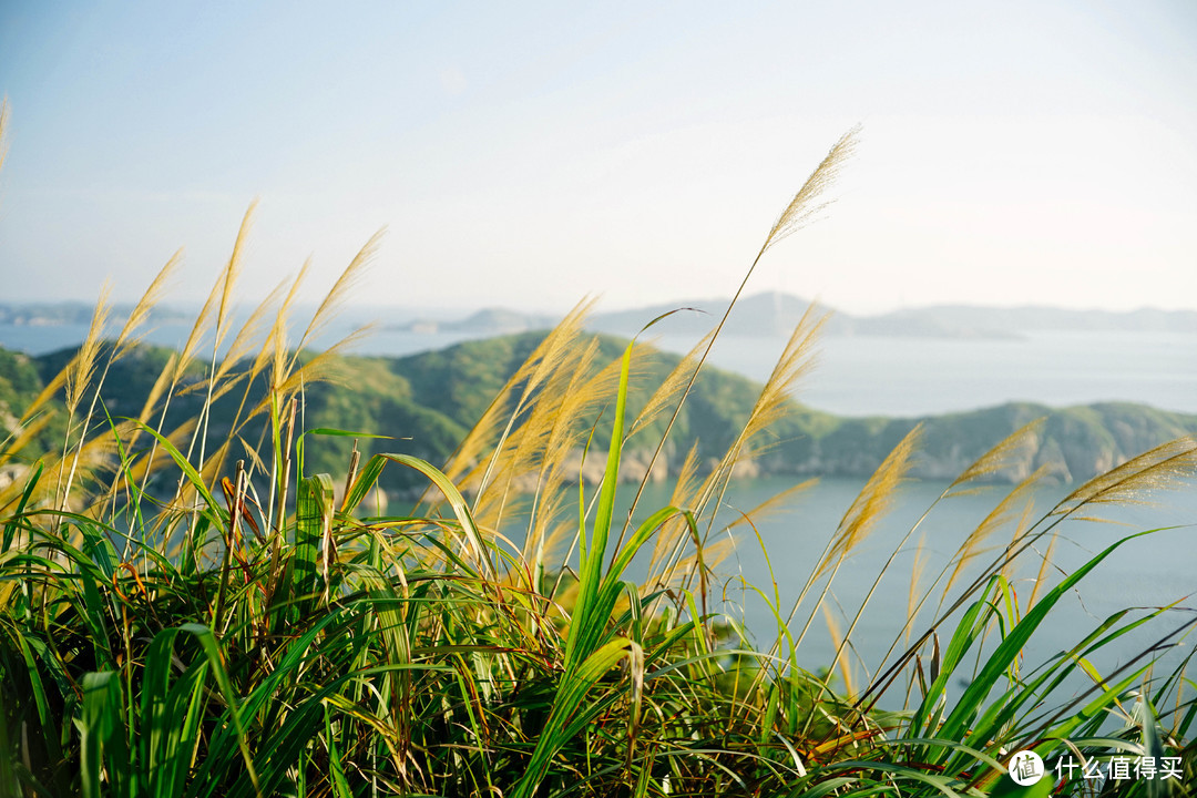 包邮区必备的嵊泗花鸟岛攻略 | 从上海，到海上