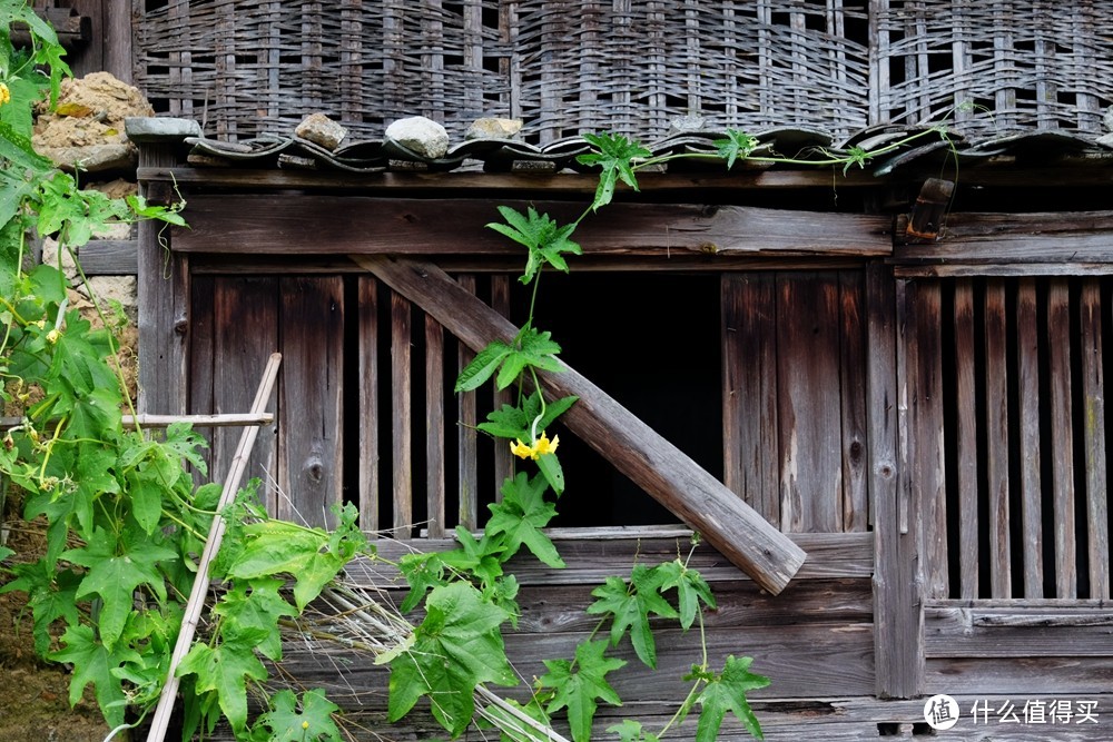 福建明溪县深山藏着两个古村，其中一个还是皇帝赐名