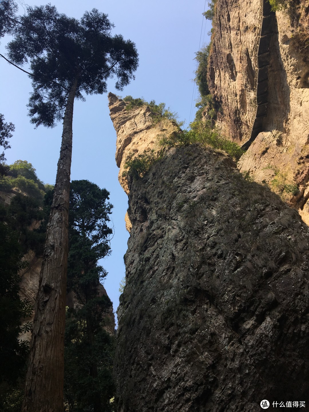 吃喝玩乐在台州—雁荡山篇