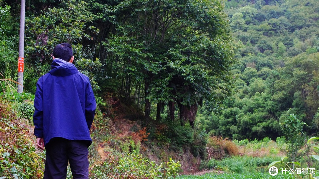 天气渐寒—NORTHLAND 诺诗兰 旅行冲锋衣 上身体验