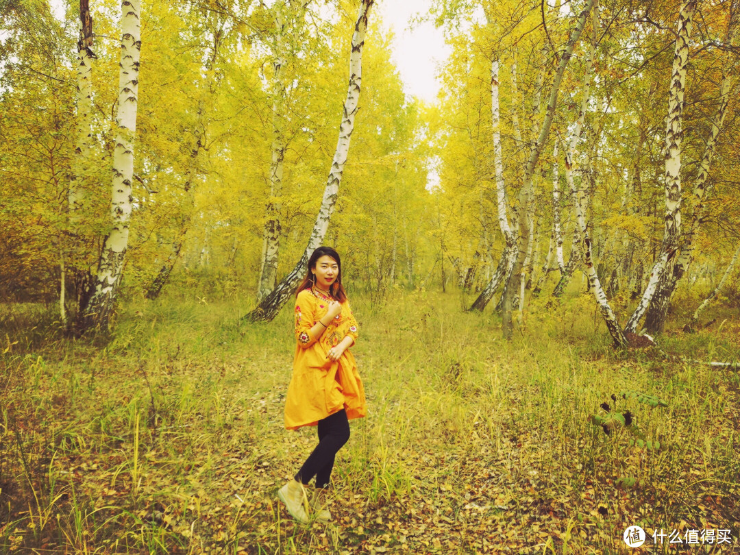 在新疆的金秋里走进童话世界