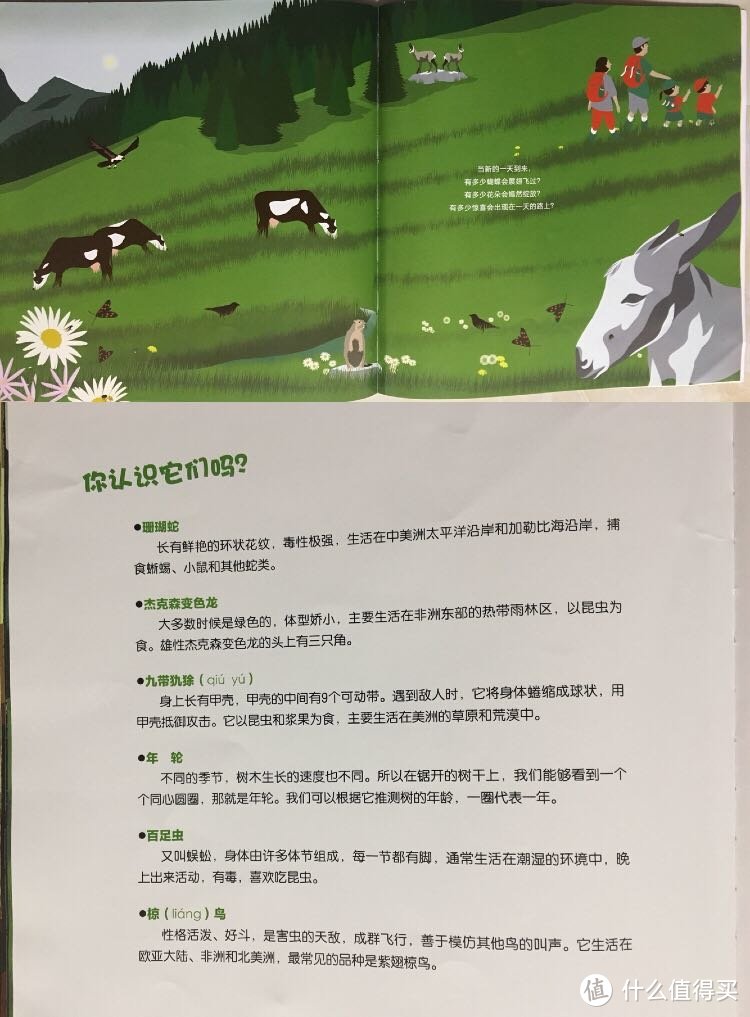 如何提高宝贝对数字的认知？数字启蒙绘本推荐