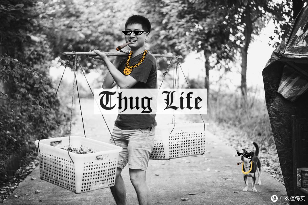 狗哥:"这是我的小老弟,我就说正常发挥的话肯定没问题!