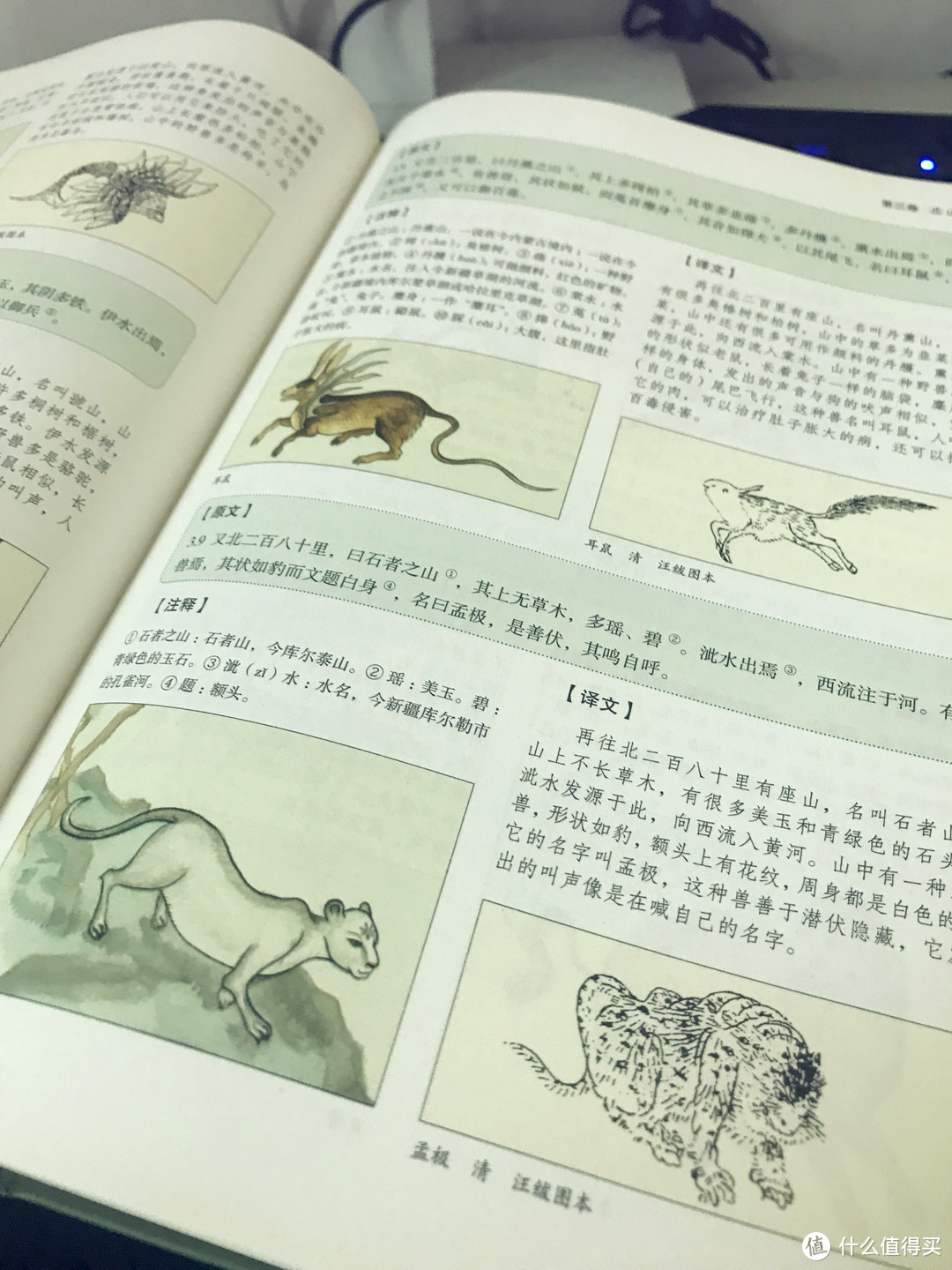 编排精美 字迹清晰