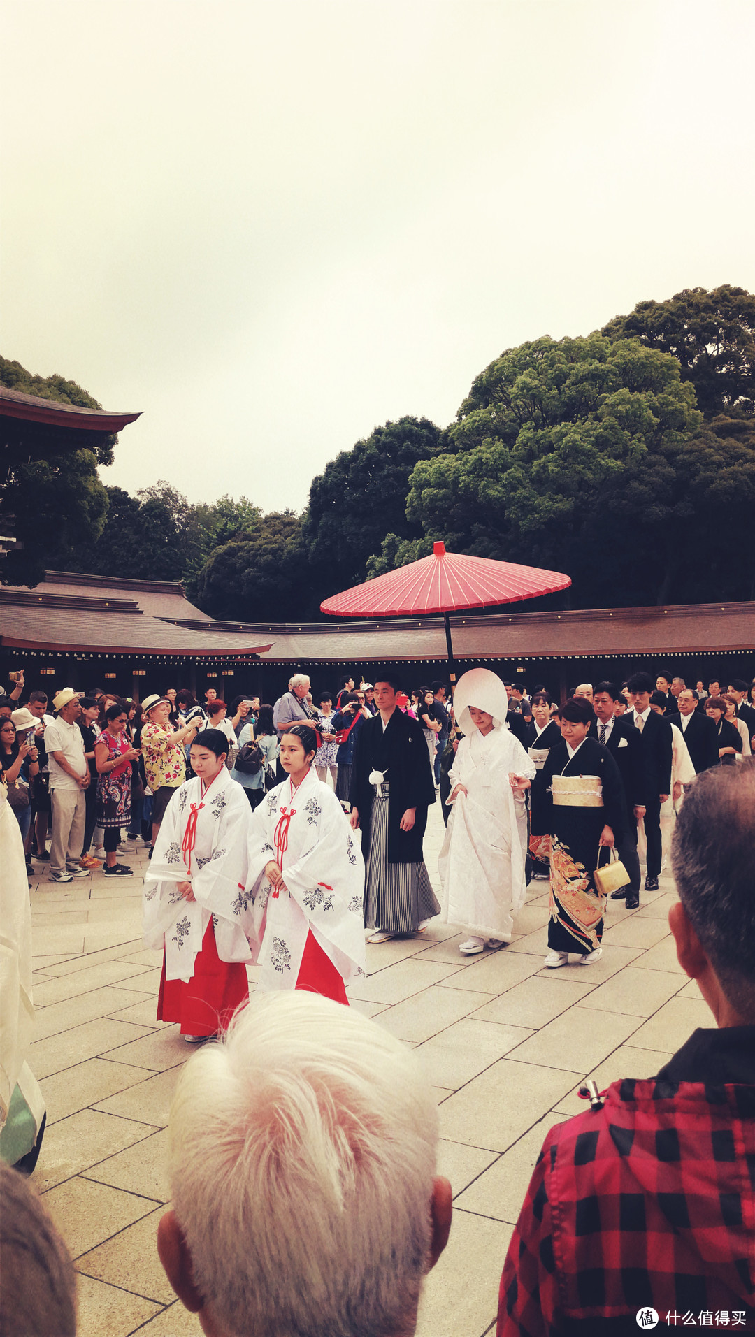 遇见夏日霓虹：日本自由行七日游记（篇六：后会有期）