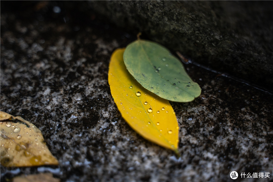 感受金陵古韵，漫步烟雨古都—南京匆匆四日游（上篇）