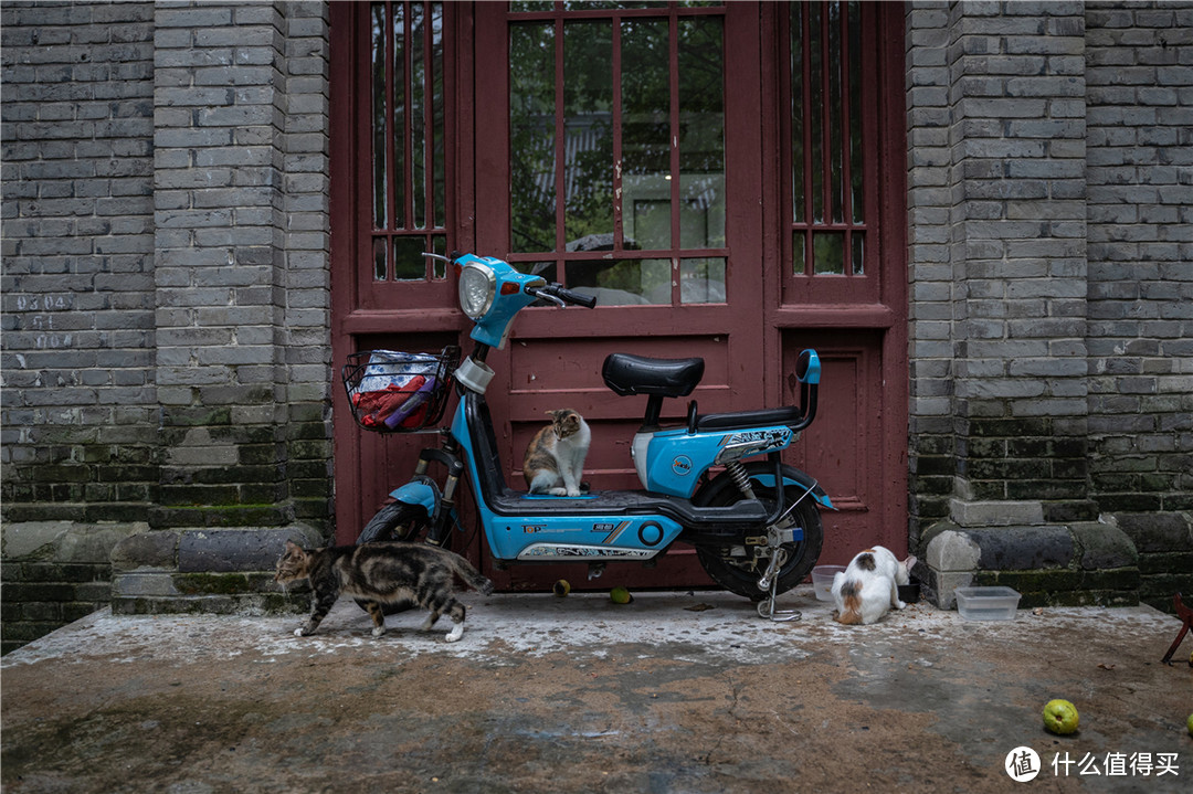 感受金陵古韵，漫步烟雨古都—南京匆匆四日游（上篇）