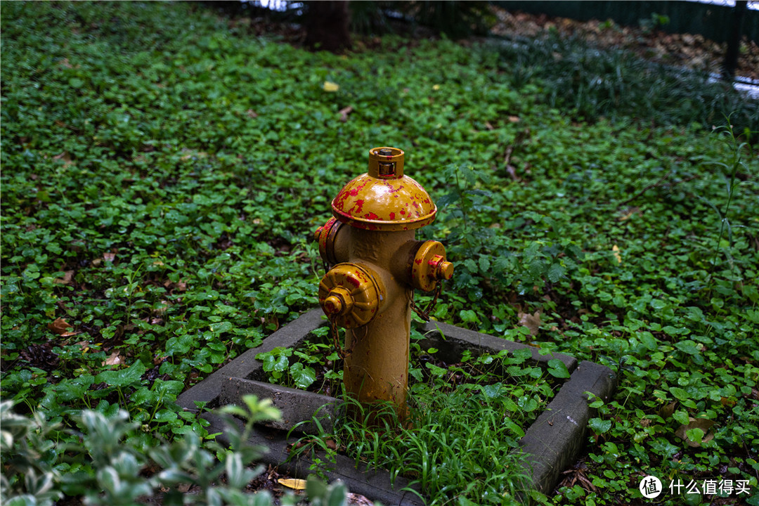 感受金陵古韵，漫步烟雨古都—南京匆匆四日游（上篇）