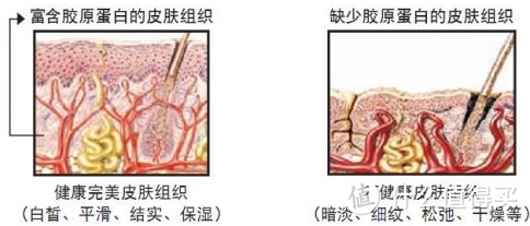 三分练，七分吃，如何才能拿到吃这“七分”？