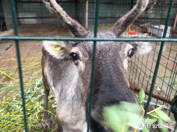 实践出真知—长白山亲子旅游线路推荐