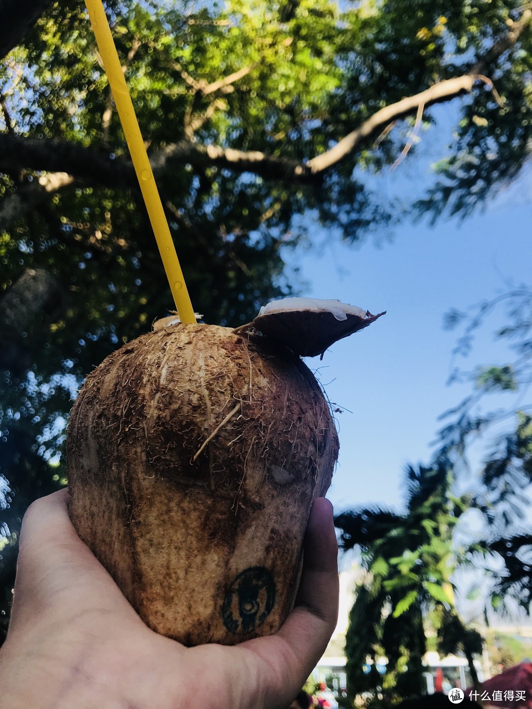 越南芽庄吃点啥，鸡饭咖啡还有茶