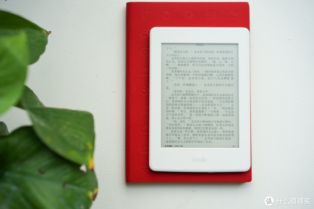 白色的Kindle看着就很清新