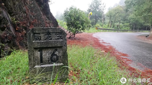 世界很小,丽水很大-首次游丽水漫记