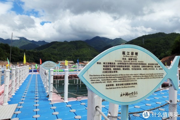 世界很小,丽水很大-首次游丽水漫记