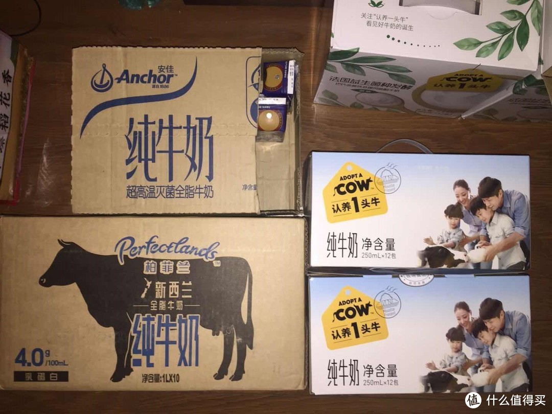 纯正奶源奶味十足--试饮柏菲兰新西兰纯牛奶