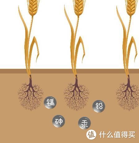 23款宝宝辅食重金属检测：按全球最严的标准，它们安全吗？