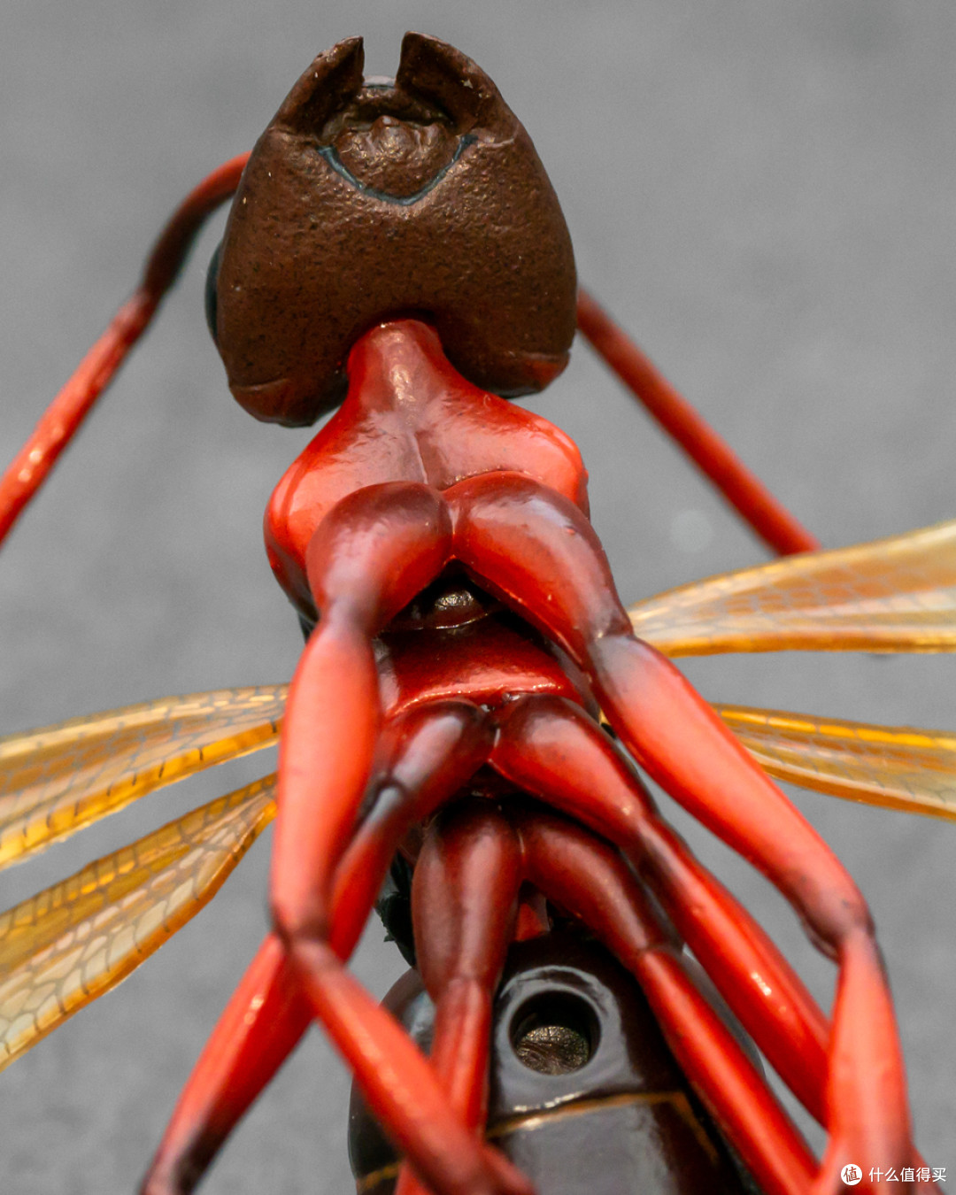 hot toys 微型收藏品系列 骑飞蚁的蚁人与黄蜂女套