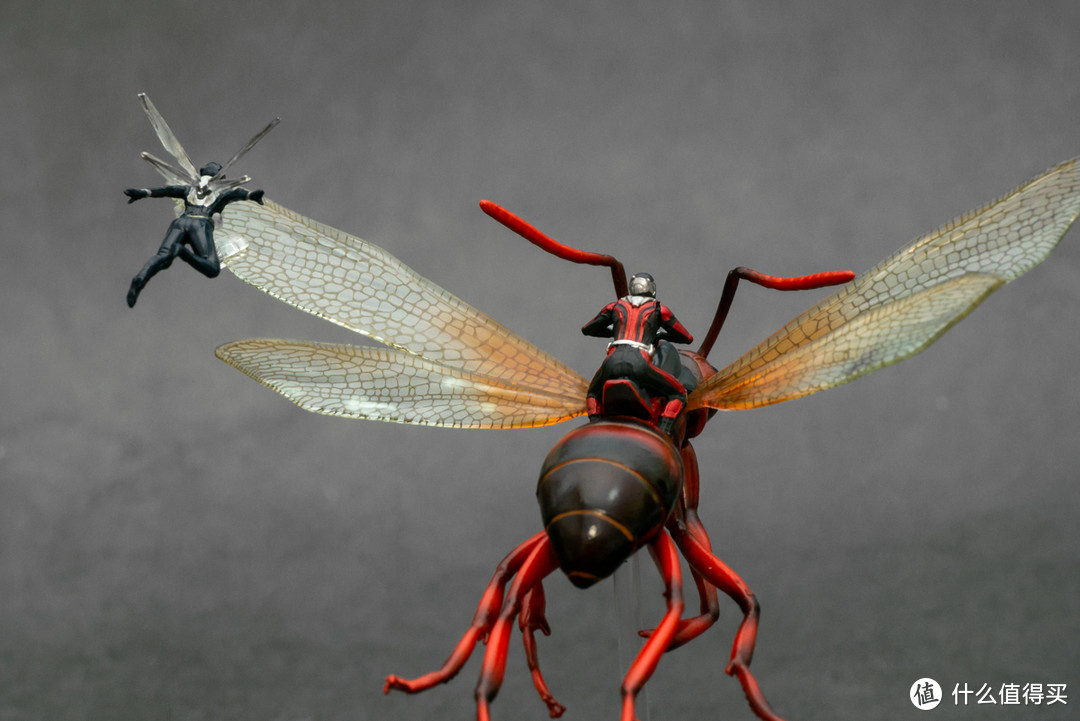 在天愿作比翼鸟，在地愿作……蚂蚁和黄蜂？Hot Toys 微型收藏品系列 骑飞蚁的蚁人与黄蜂女套装